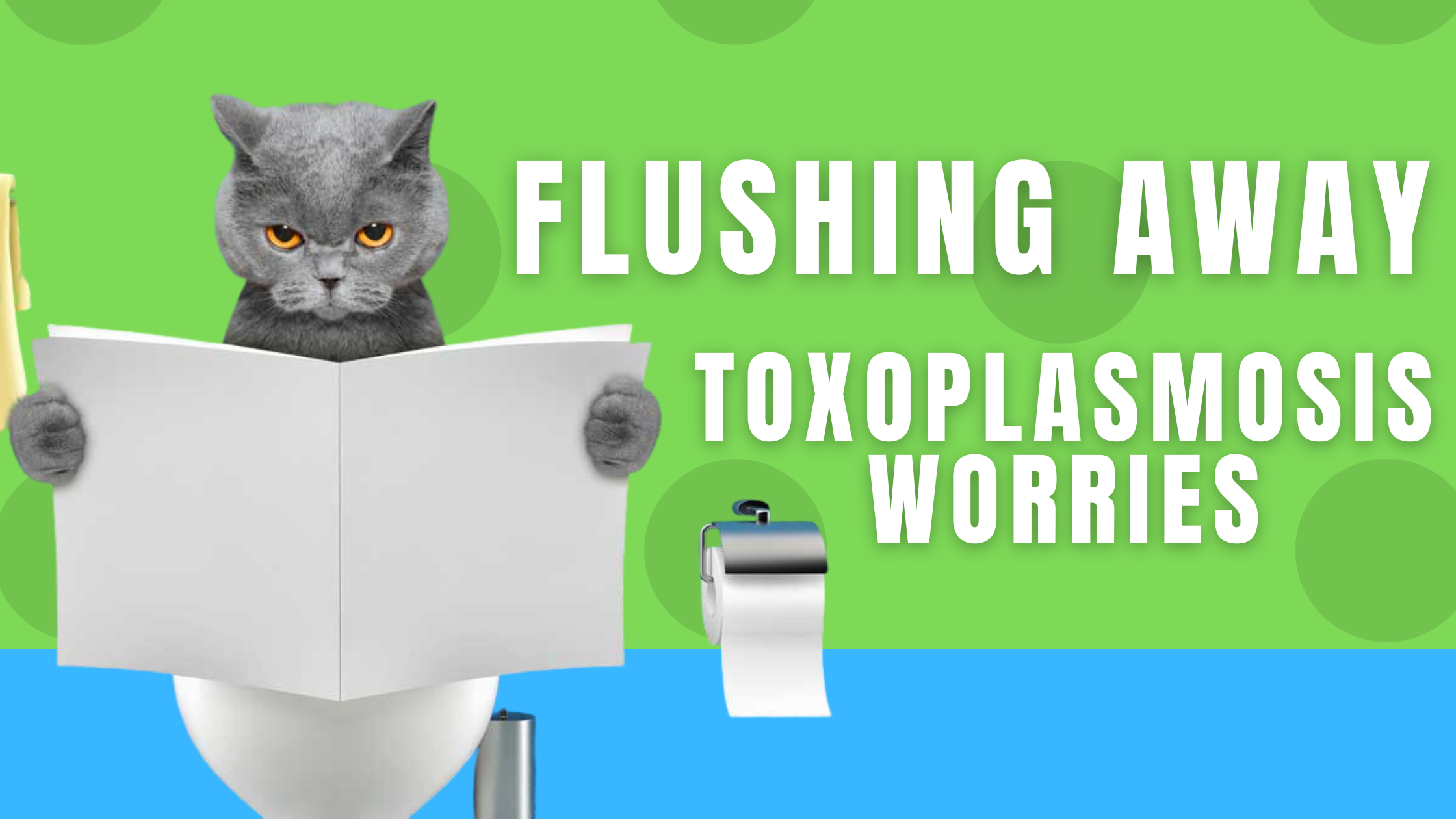 Flushing Away Toxoplasmosis Worries What Happens If You Flush Cat Lit flushing-away-toxoplasmosis-worries-what-happens-if-you-flush-cat-lit