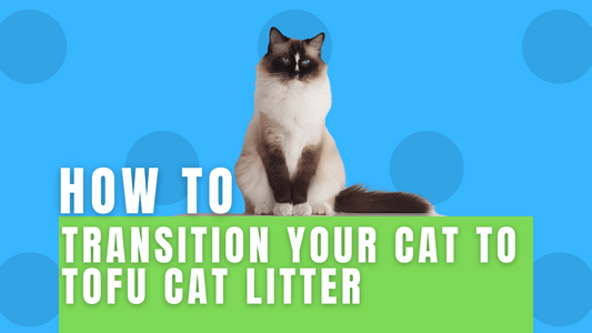 Switching to tofu litter for your cat can be a process, but it's important to do it gradually to avoid stress.