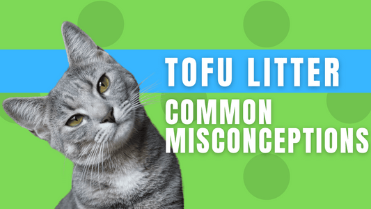 Although tofu cat litter is becoming more popular as an eco-friendly option, there are still misunderstandings and doubts about its effectiveness, availability, affordability, and suitability for cats. 