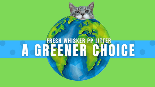 Tofu Cat Litter offers a greener alternative that is safe for cats and the planet, allowing us to care for both.