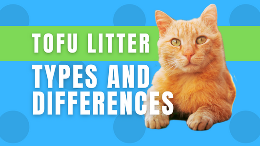 Tofu litter is a plant-based cat litter that comes in different types based on ingredients and formulas