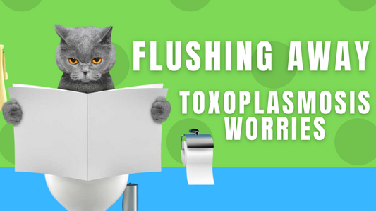 Flushing Away Toxoplasmosis Worries: What happens if you flush cat litter?