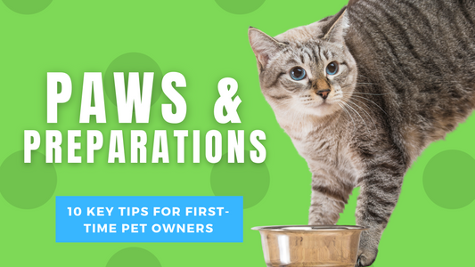 Paws and Preparations: 10 Key Tips for First-Time Pet Owners