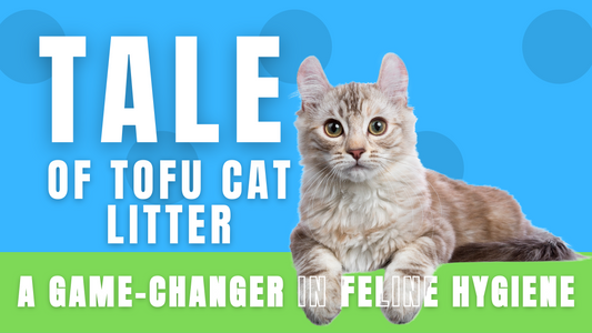 The Tale of Tofu Cat Litter: A Game-Changer in Feline Hygiene