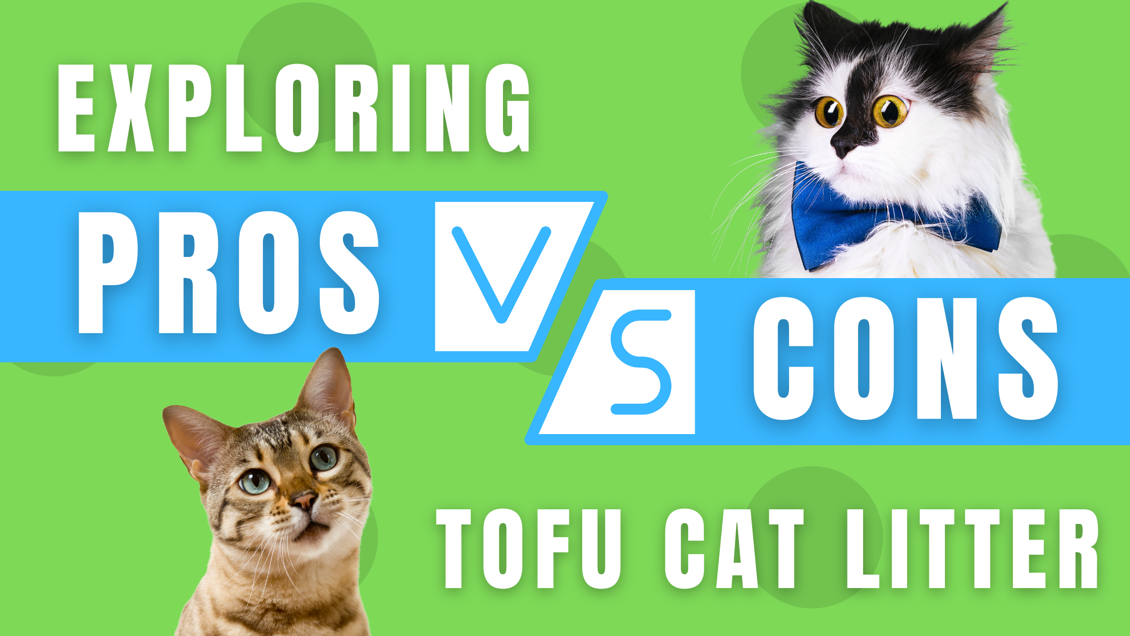 Is Tofu Litter Good for Cats? Exploring the Pros and Cons – FreshWhisker
