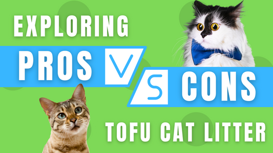 Is Tofu Litter Good for Cats? Exploring the Pros and Cons