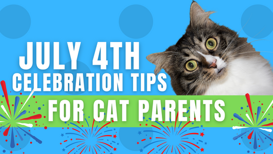 July 4th Celebration Tips for Cat Parents: 5 Must-Do Things to Keep Your Feline Safe and Happy