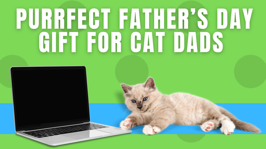 Purrfect Father’s Day Gift for Cat Dads