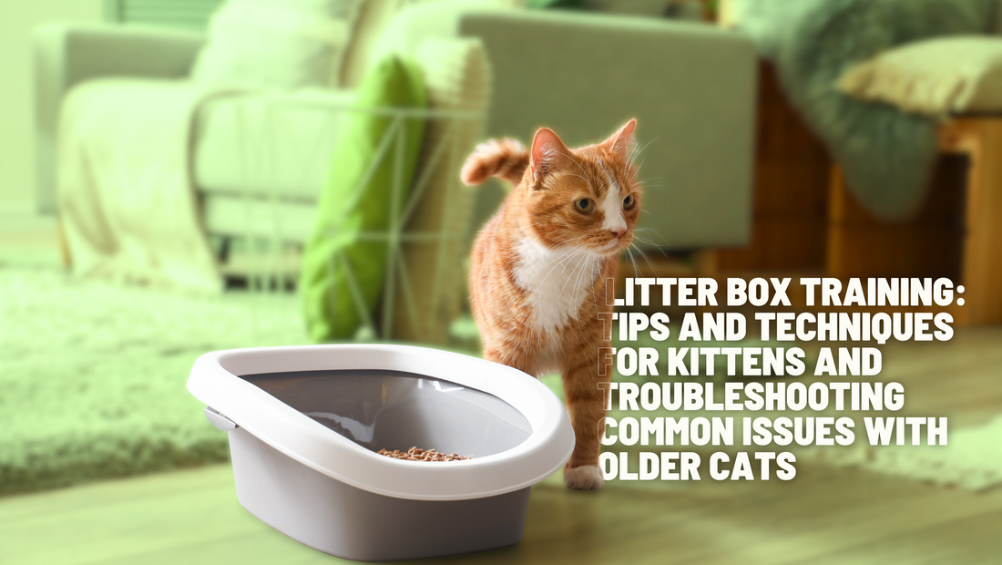 Litter Box Training: Tips and Techniques for Kittens and Troubleshooting Common Issues with Older Cats