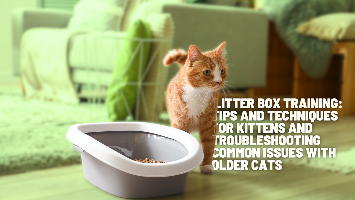 Litter Box Training: Tips and Techniques for Kittens and Troubleshooti ...