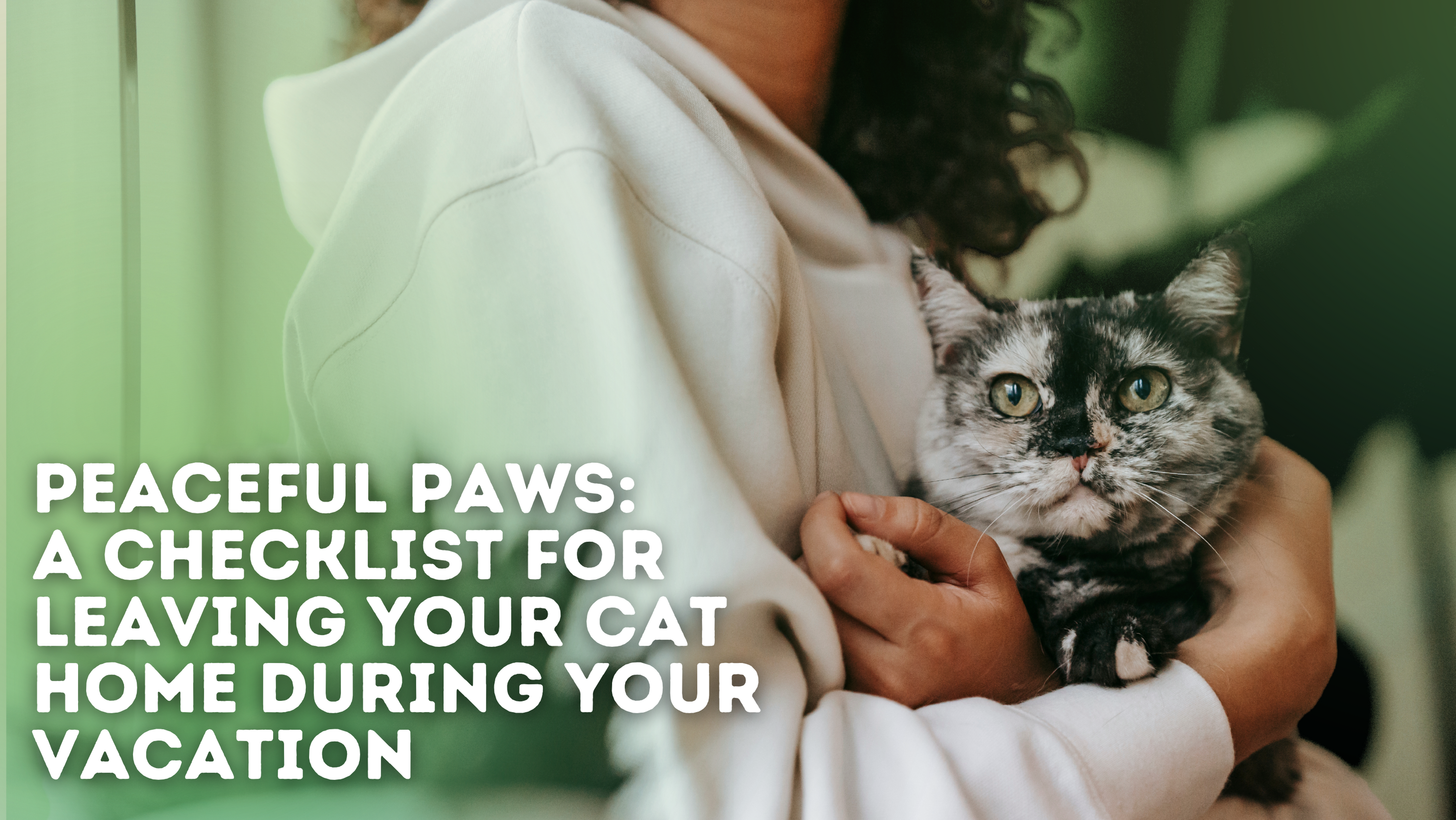 Peaceful Paws: A Checklist for Leaving Your Cat Home During Your Vacat – FreshWhisker
