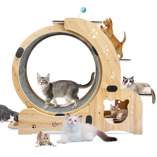 Upgraded 6-in-1 Cat Exercise Wheel: Large Treadmill with Silent Running & Engaging Toys for Fitness & Fun