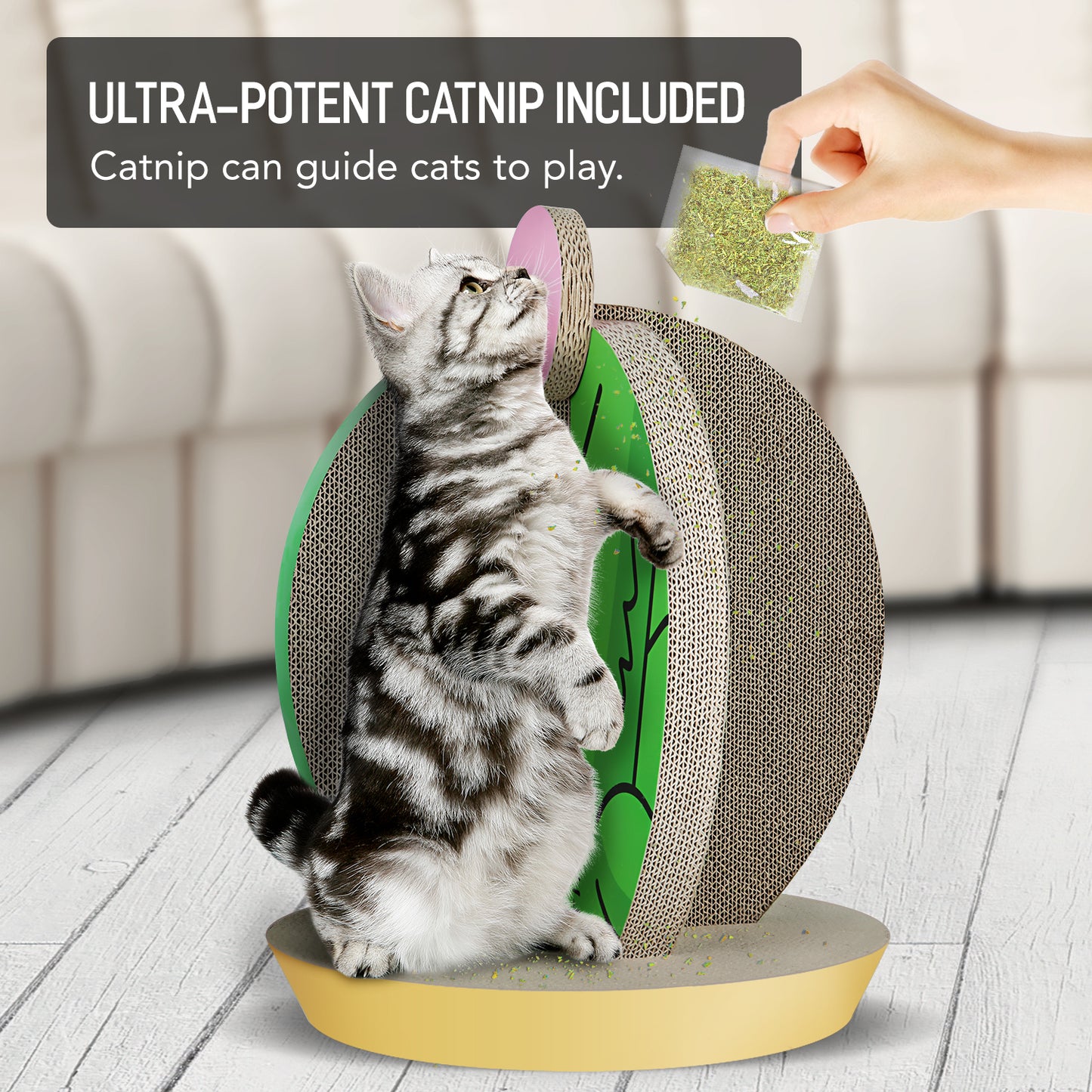 Cactus-Shaped Design Cat Scratching Post and Scratching Board