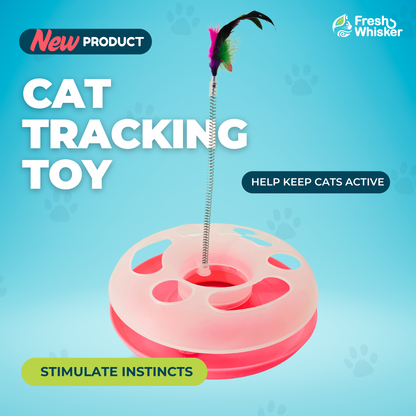 Stimulating Circular Ball Chase Toy with Feather Swatter