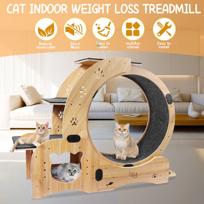 Upgraded 6-in-1 Cat Exercise Wheel: Large Treadmill with Silent Running & Engaging Toys for Fitness & Fun