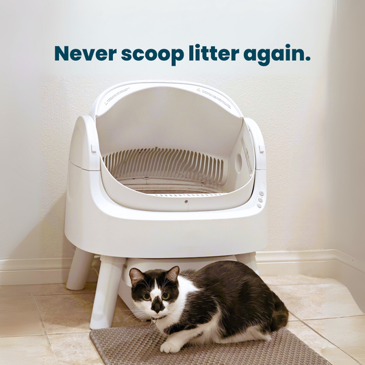 Open-Top Self Cleaning Cat Litter Box, Automatic Cat Litter Box