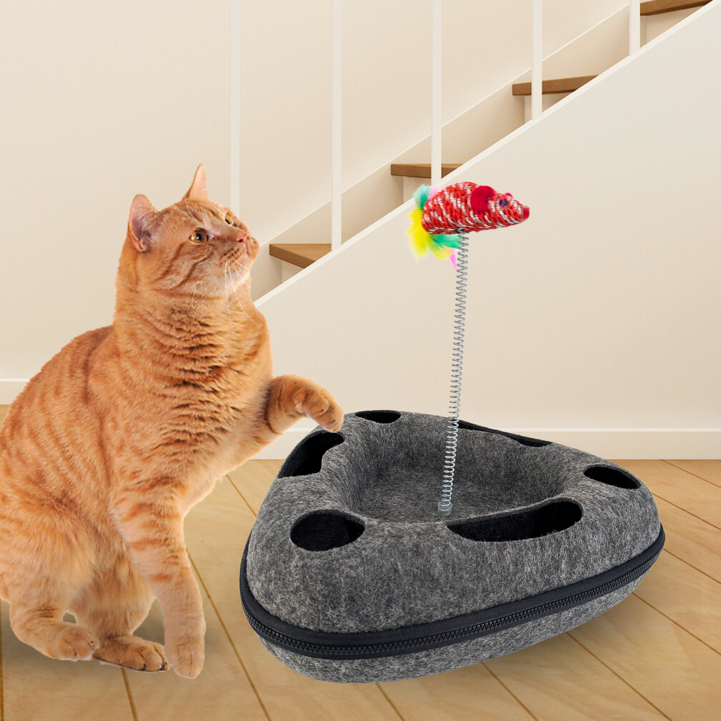 Interactive Triangle Ball Chase Toy with Mouse Swatter