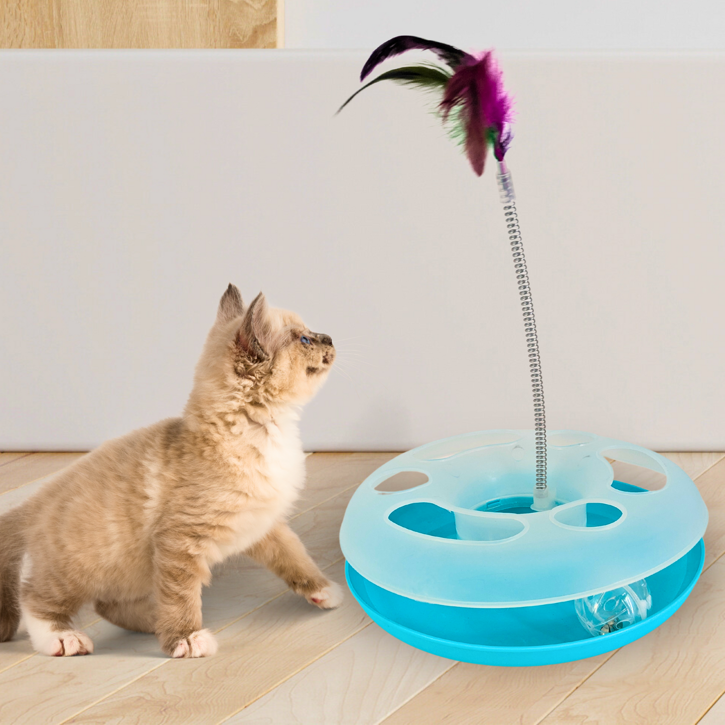 Stimulating Circular Ball Chase Toy with Feather Swatter