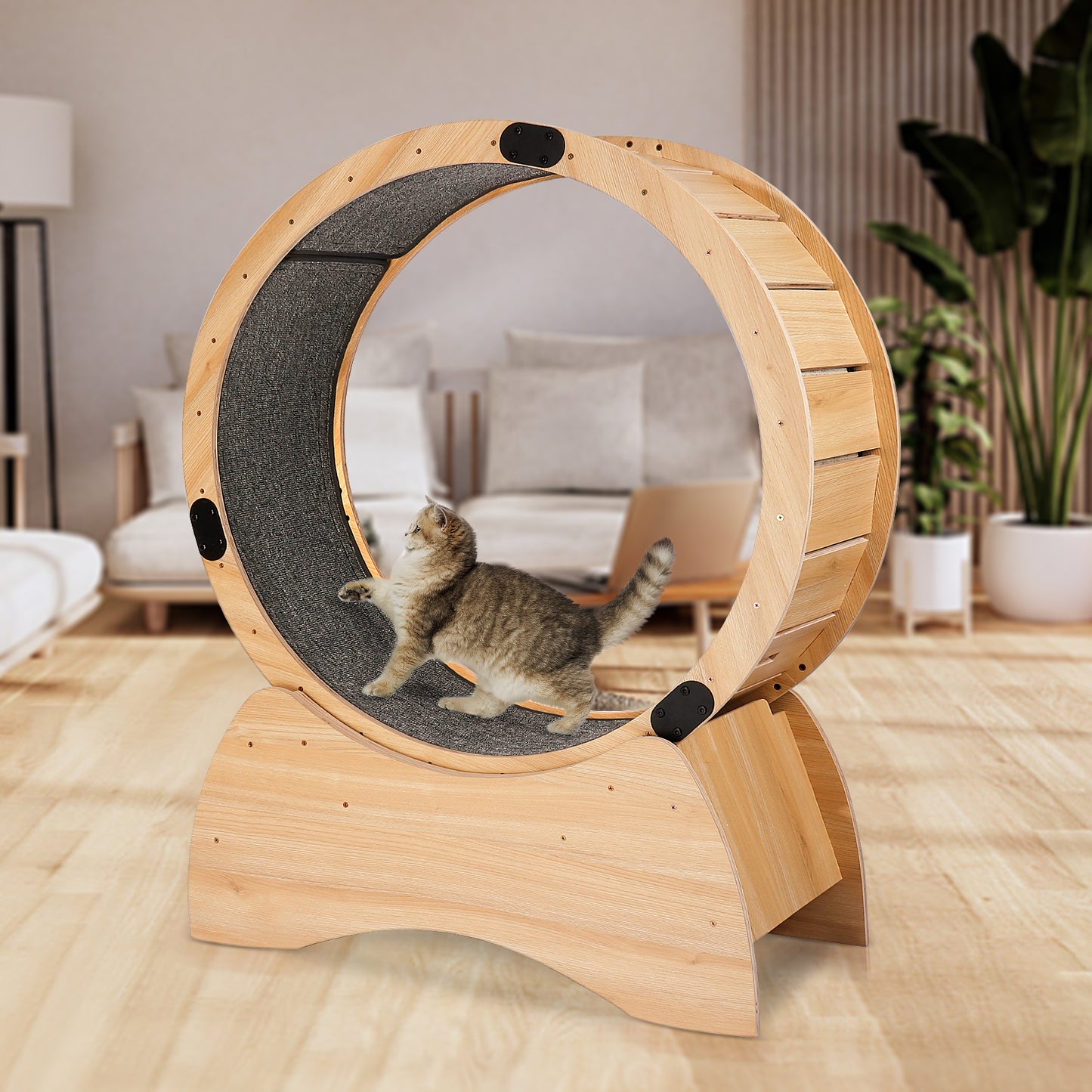 Cat Exercise Wheel – Running, Spinning, and Scratching Fun, Cat Treadmill with Carpeted Runway