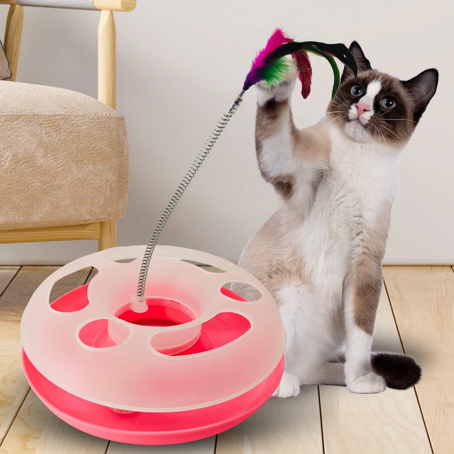 Stimulating Circular Ball Chase Toy with Feather Swatter