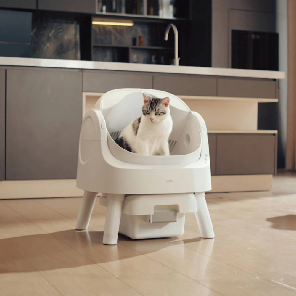 Open-Top Self Cleaning Cat Litter Box, Automatic Cat Litter Box