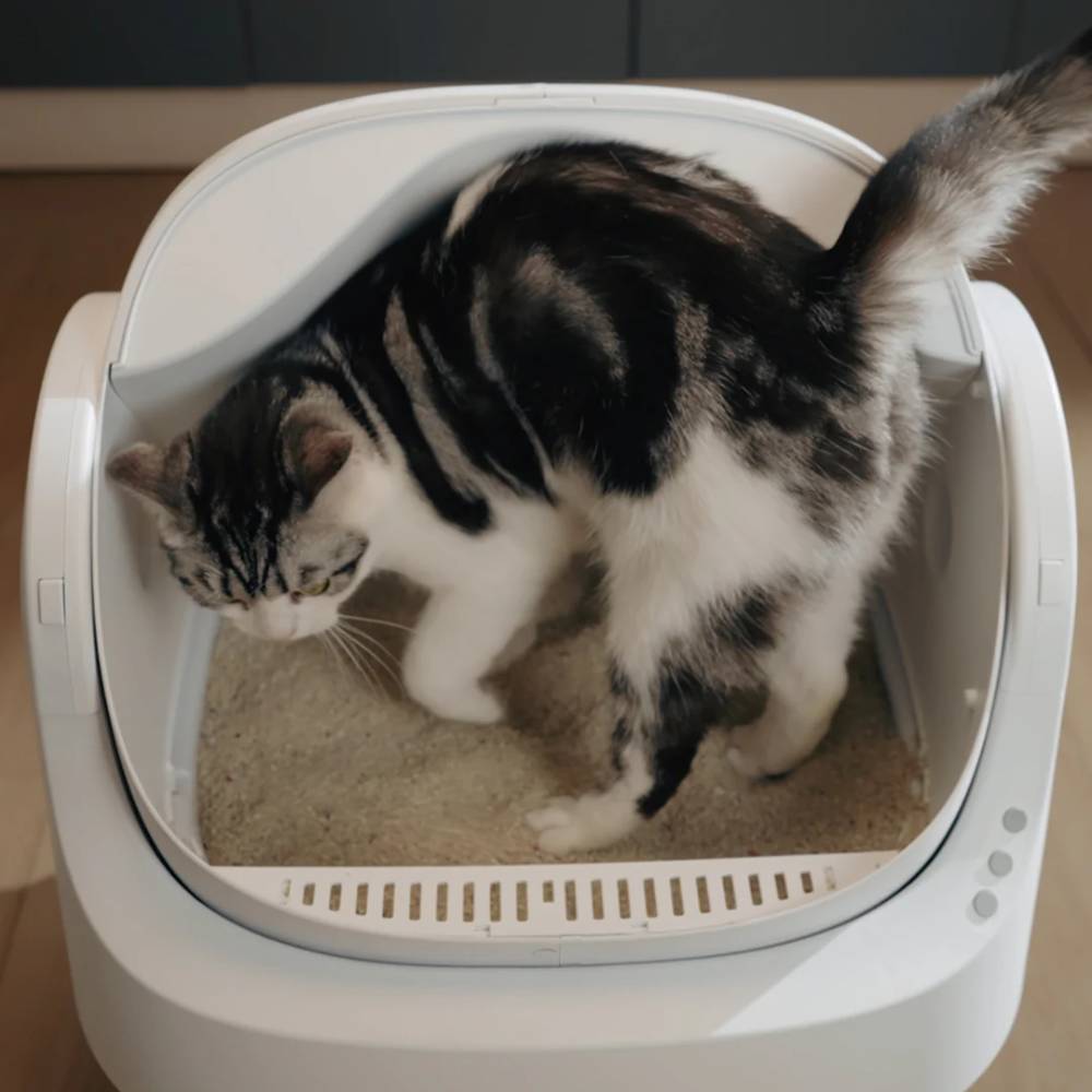 Open-Top Self Cleaning Cat Litter Box, Automatic Cat Litter Box