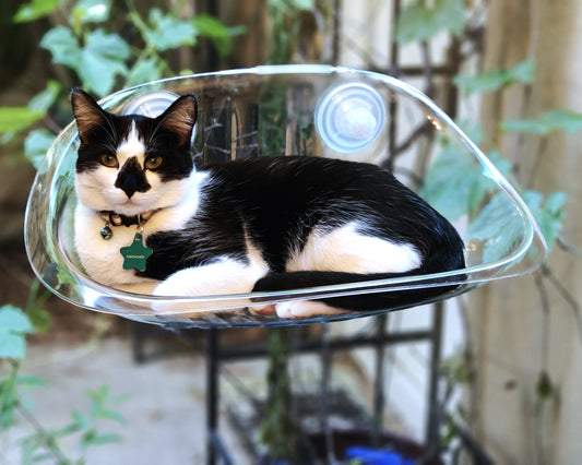 Deluxe Cat Window Perch by CGA Kitty