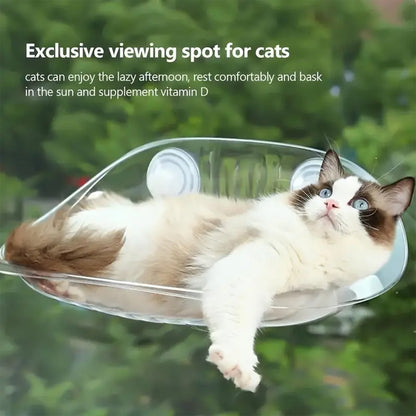 Deluxe Cat Window Perch by CGA Kitty