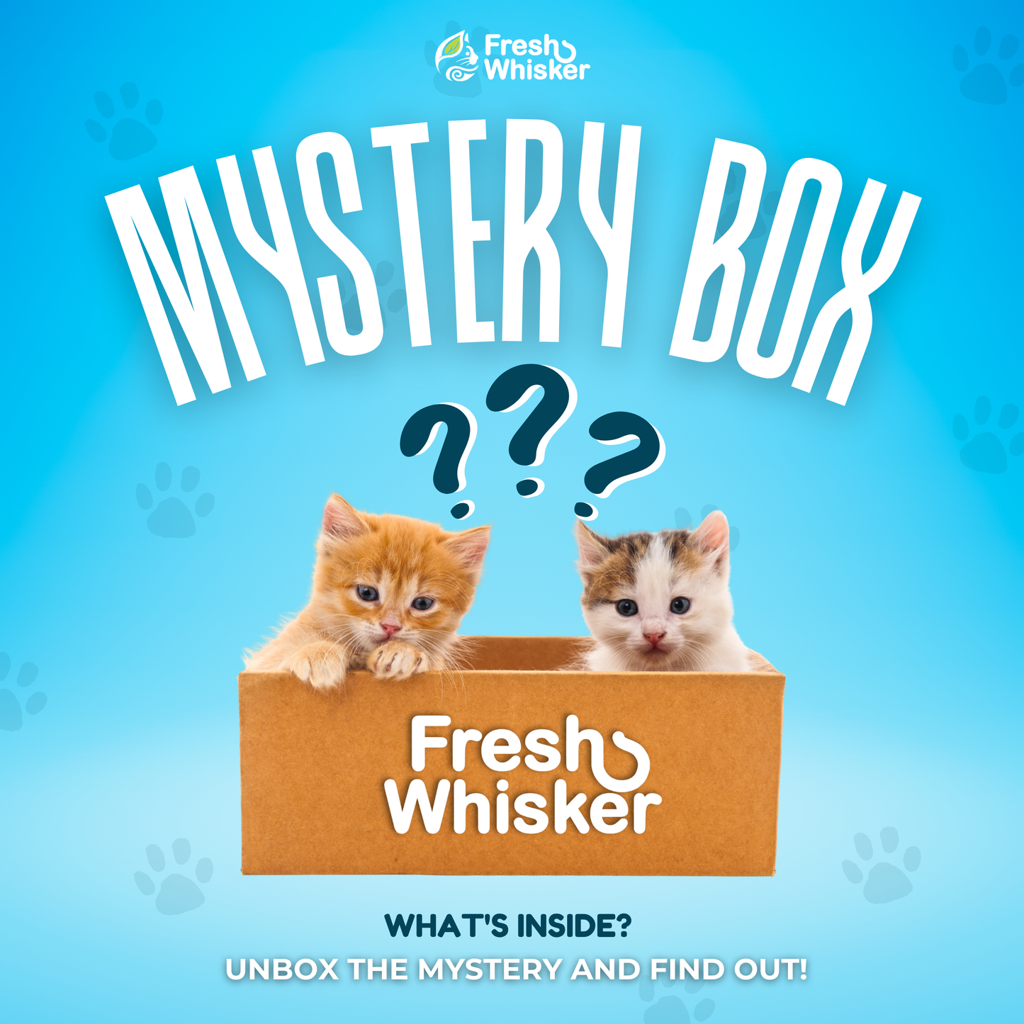 Purrfect Surprise Mystery Box