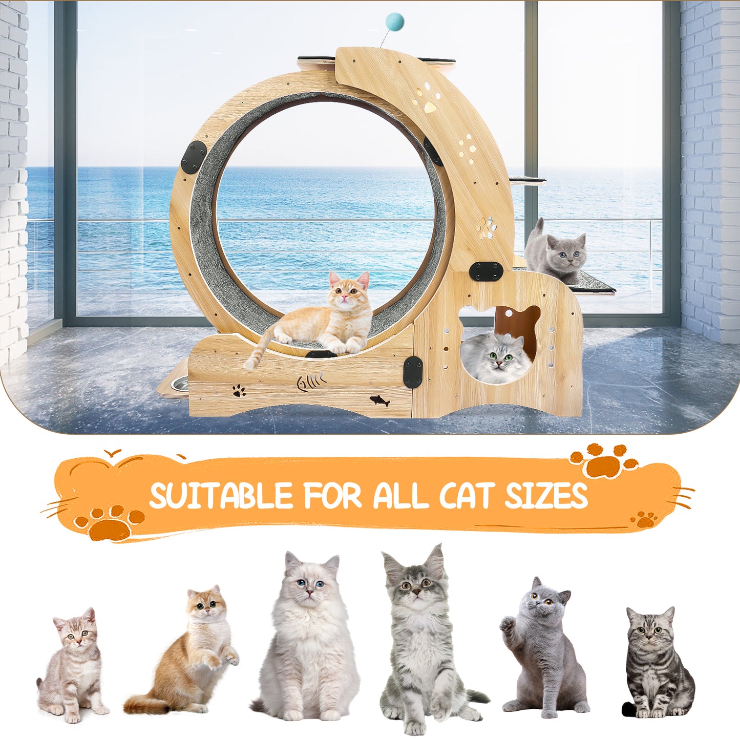 Upgraded 6-in-1 Cat Exercise Wheel: Large Treadmill with Silent Running & Engaging Toys for Fitness & Fun