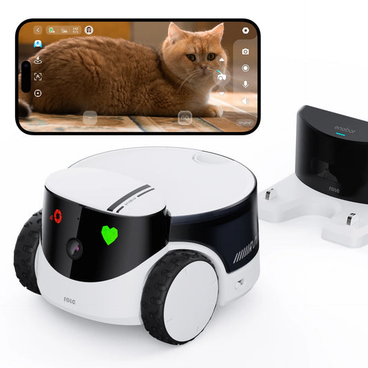 Controllable Moving Pet Companion with Self Parking Charge Dock