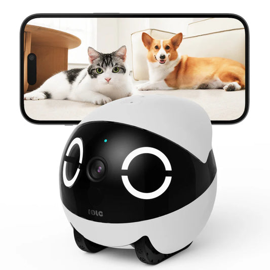 Controllable Moving Pet Monitor with Long Lasting Battery