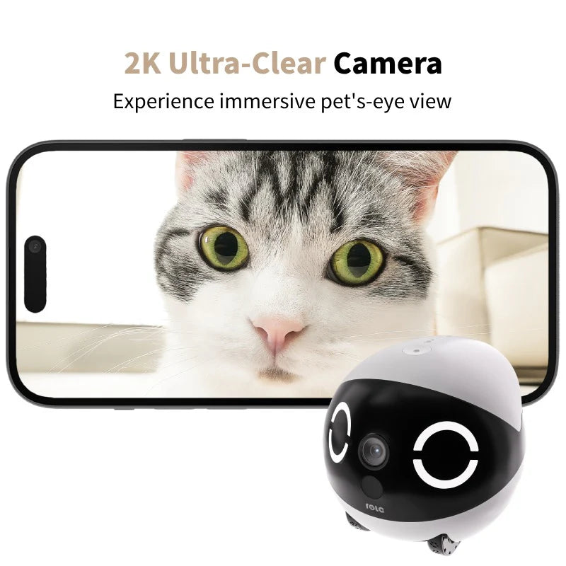Pet Computer Monitor Controllable Moving Pet Monitor with Long Lasting Battery – FreshWhisker