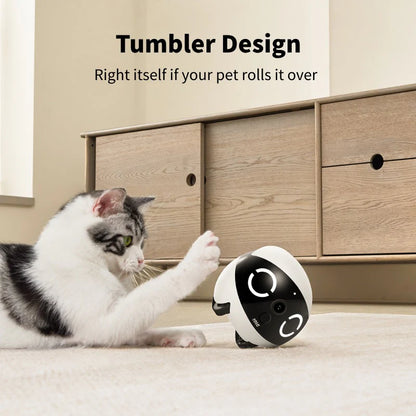 Controllable Moving Pet Monitor with Long Lasting Battery