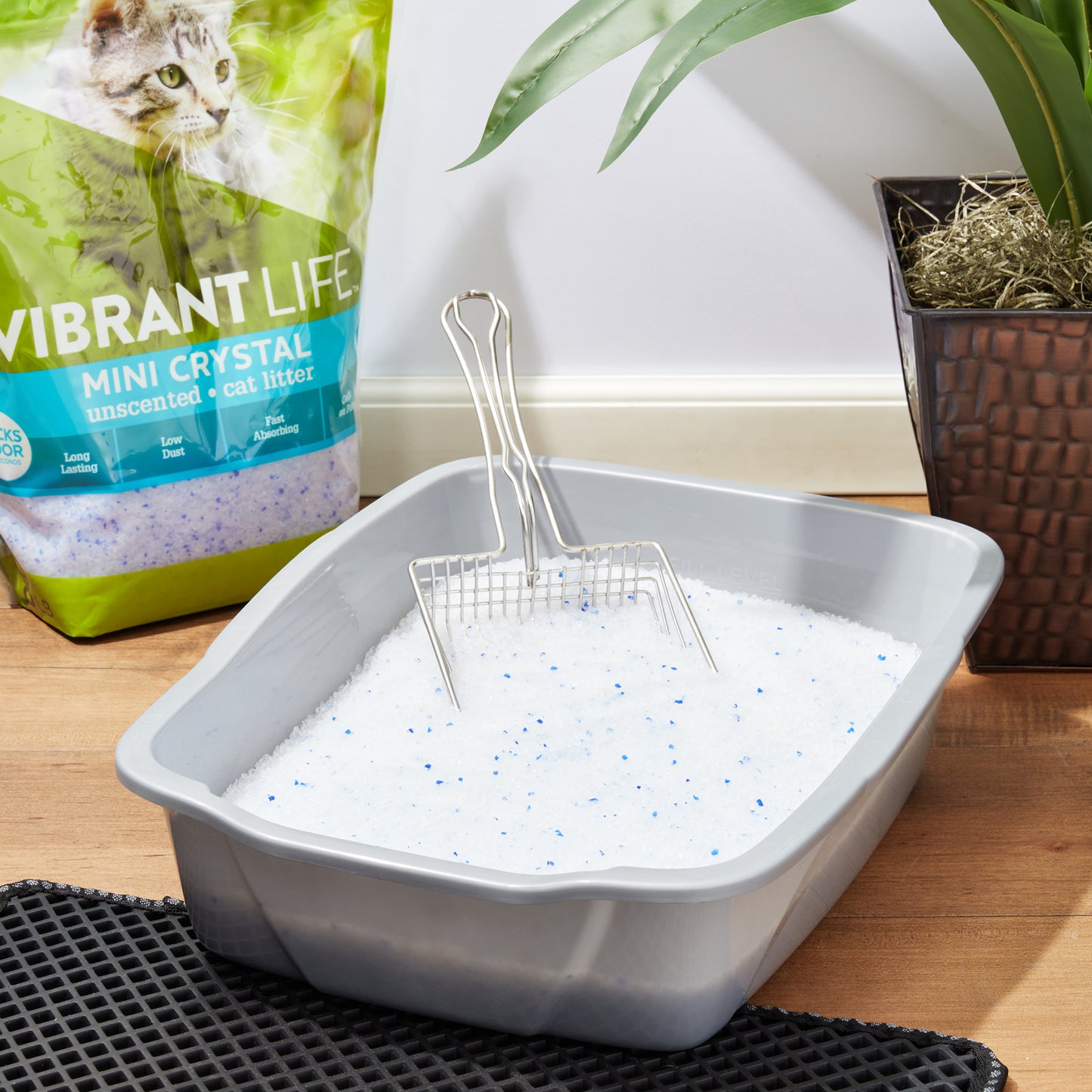 Vibrant Life Crystal Cat Litter