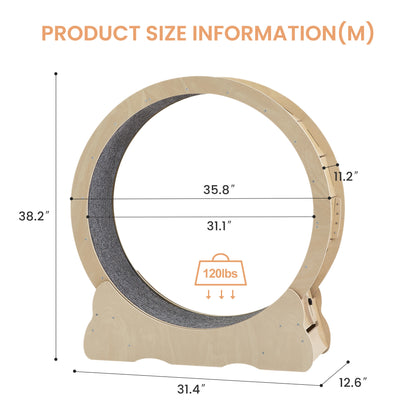 Indoor Cat Exercise Wheel/Treadmill with Carpeted Track, Weighted Wheel, & Safety Latch for Active Cats