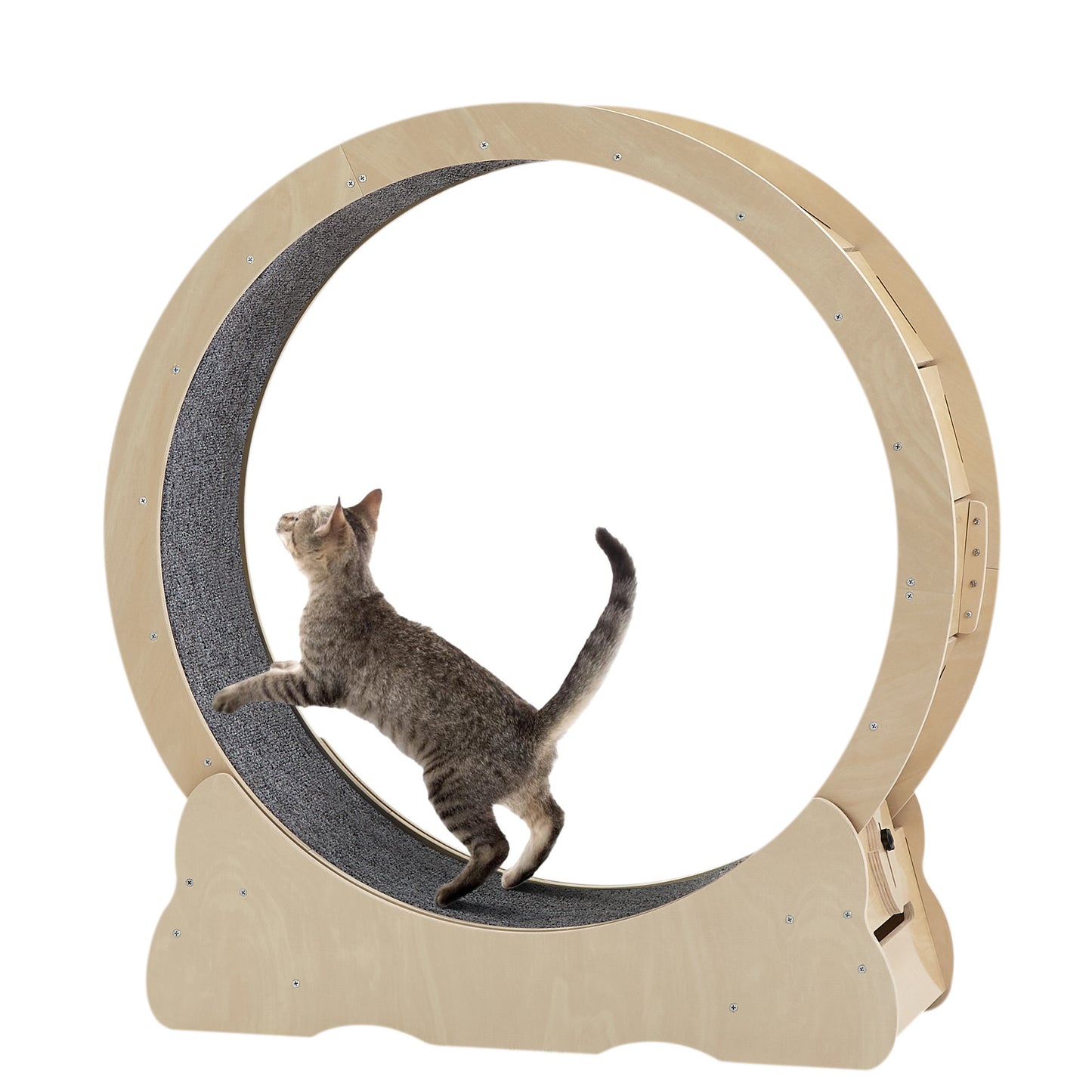 Indoor Cat Exercise Wheel/Treadmill with Carpeted Track, Weighted Wheel, & Safety Latch for Active Cats