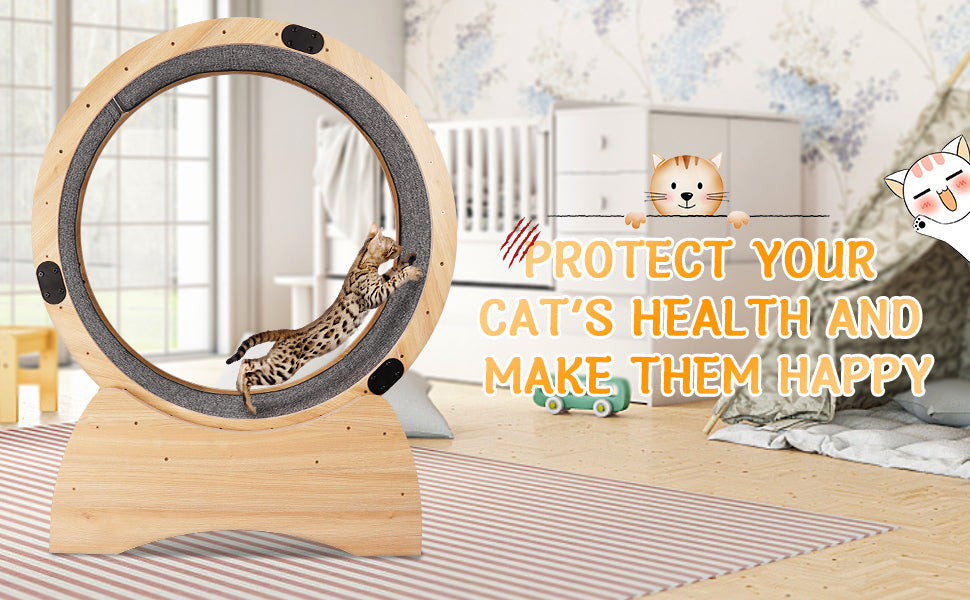 Cat Exercise Wheel – Running, Spinning, and Scratching Fun, Cat Treadmill with Carpeted Runway