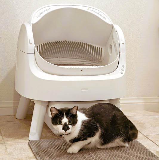 Open-Top Self Cleaning Cat Litter Box, Automatic Cat Litter Box